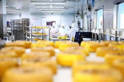 餐桌上的食品安全无小事——走进沈阳“绿色工厂”，探访“神秘”的生产线