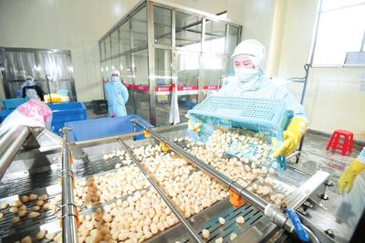 岳阳日报 食品生产安全，守护市民餐桌健康